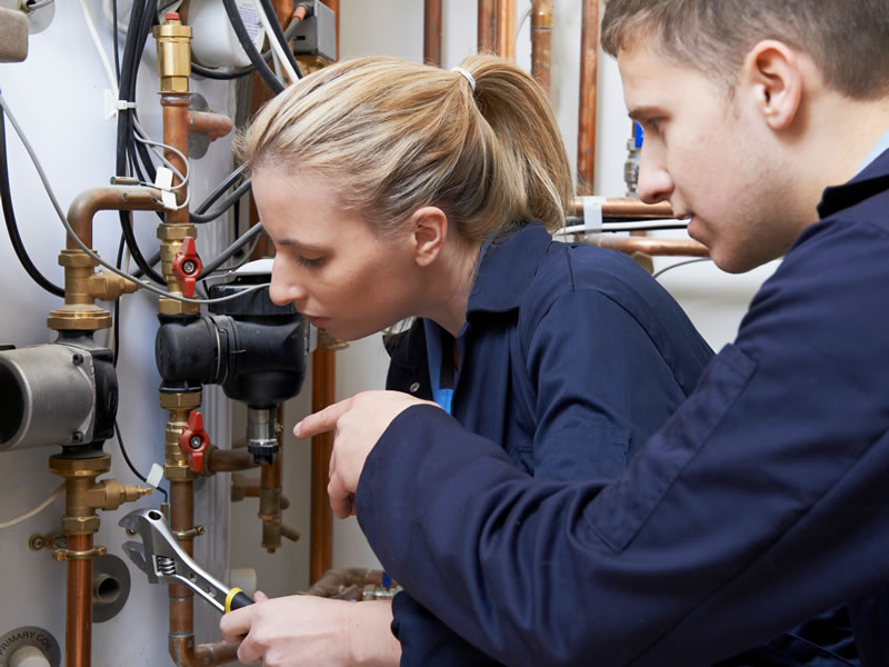 Domestic ACS Initial Assessment Chatham Kent Domestic ACS Initial Assessment Chatham Kent